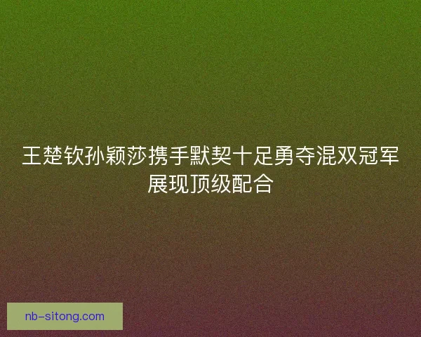 王楚钦孙颖莎携手默契十足勇夺混双冠军展现顶级配合